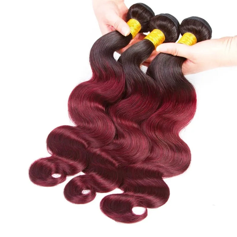 Ombre Brazilian Human Hair Bundles - 1B/99J